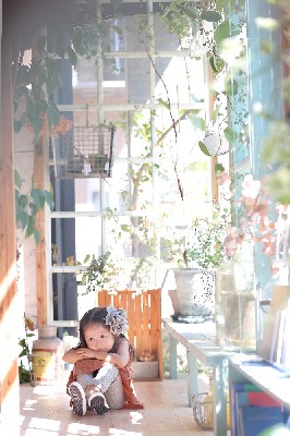 ブログ写真