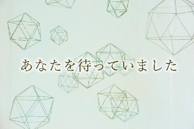ブログ写真
