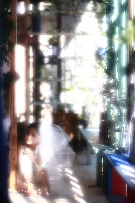 ブログ写真