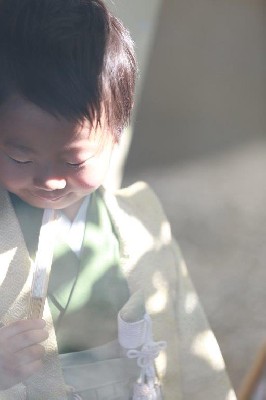 ブログ写真
