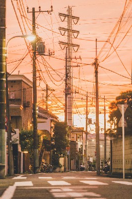 ブログ写真