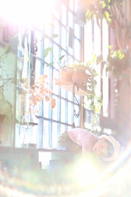 ブログ写真