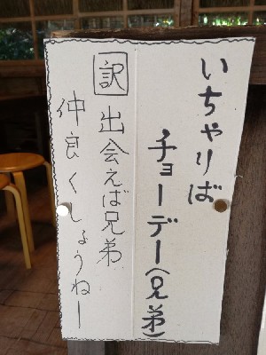 ブログ写真