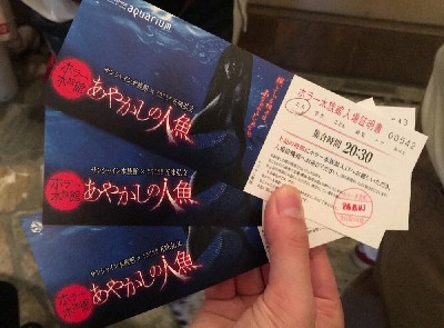 ブログ写真