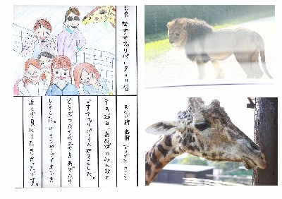 ブログ写真