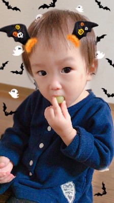ブログ写真
