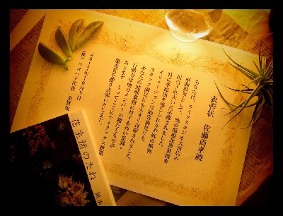 ブログ写真