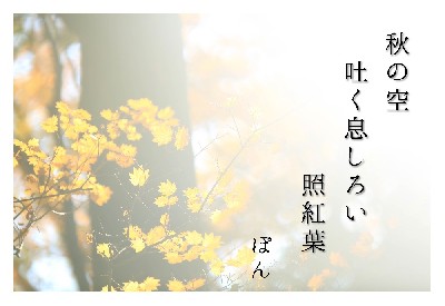ブログ写真