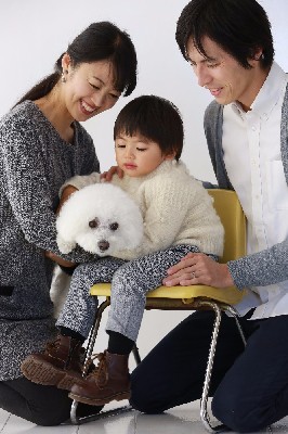 ブログ写真