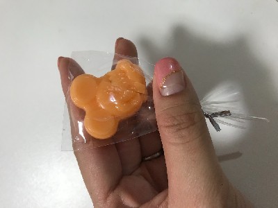 ブログ写真
