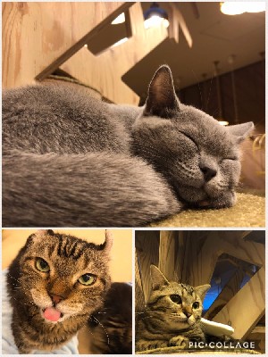 ブログ写真