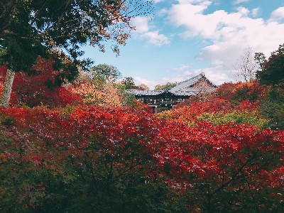ブログ写真