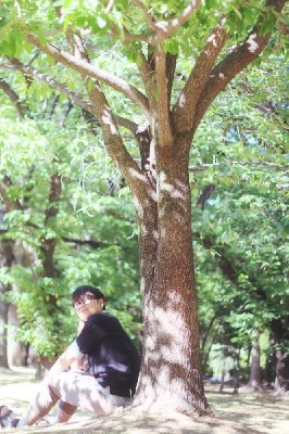 ブログ写真