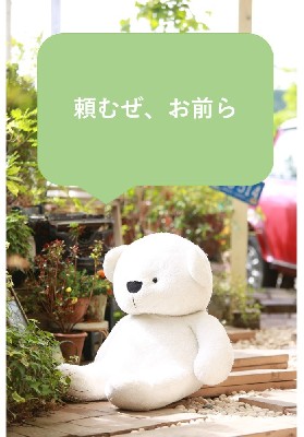 ブログ写真