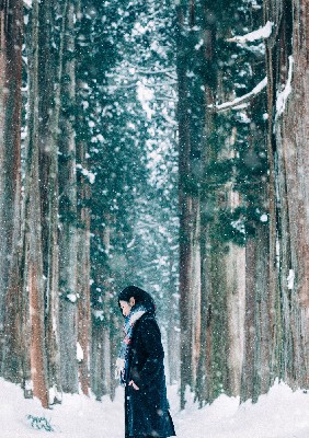 ブログ写真