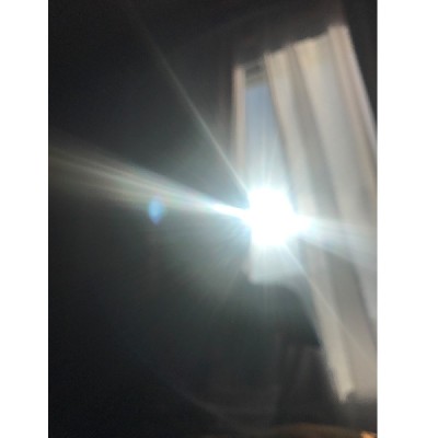 ブログ写真