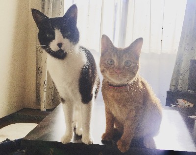 ブログ写真