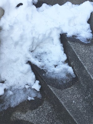 ブログ写真
