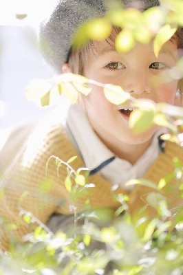 ブログ写真