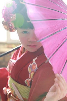 ブログ写真