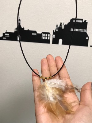 ブログ写真