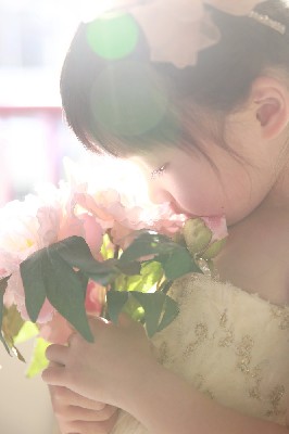 ブログ写真