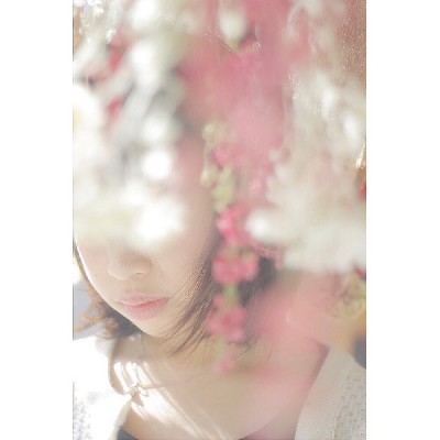ブログ写真