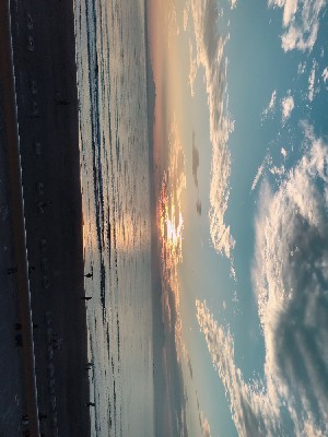 ブログ写真