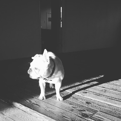 ブログ写真