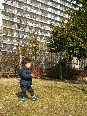 ブログ写真