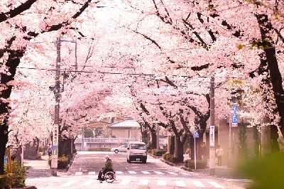 ブログ写真