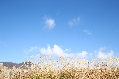 ブログ写真