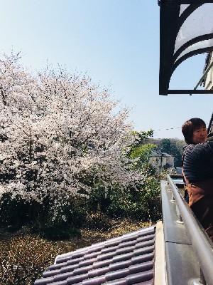 ブログ写真