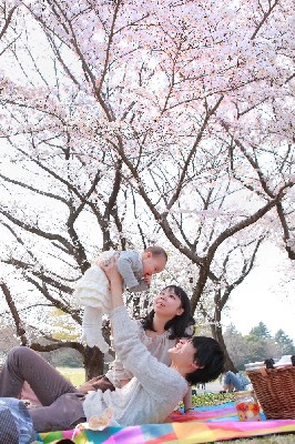 ブログ写真