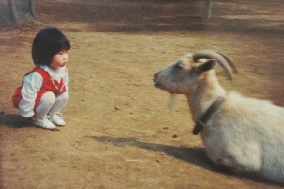ブログ写真