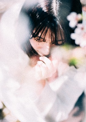 ブログ写真