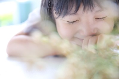 ブログ写真