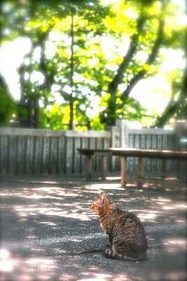 ブログ写真