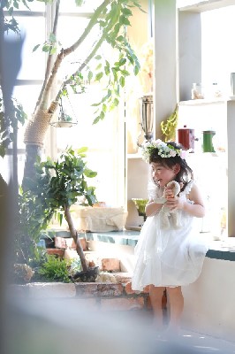 ブログ写真