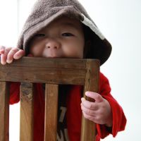ブログ写真