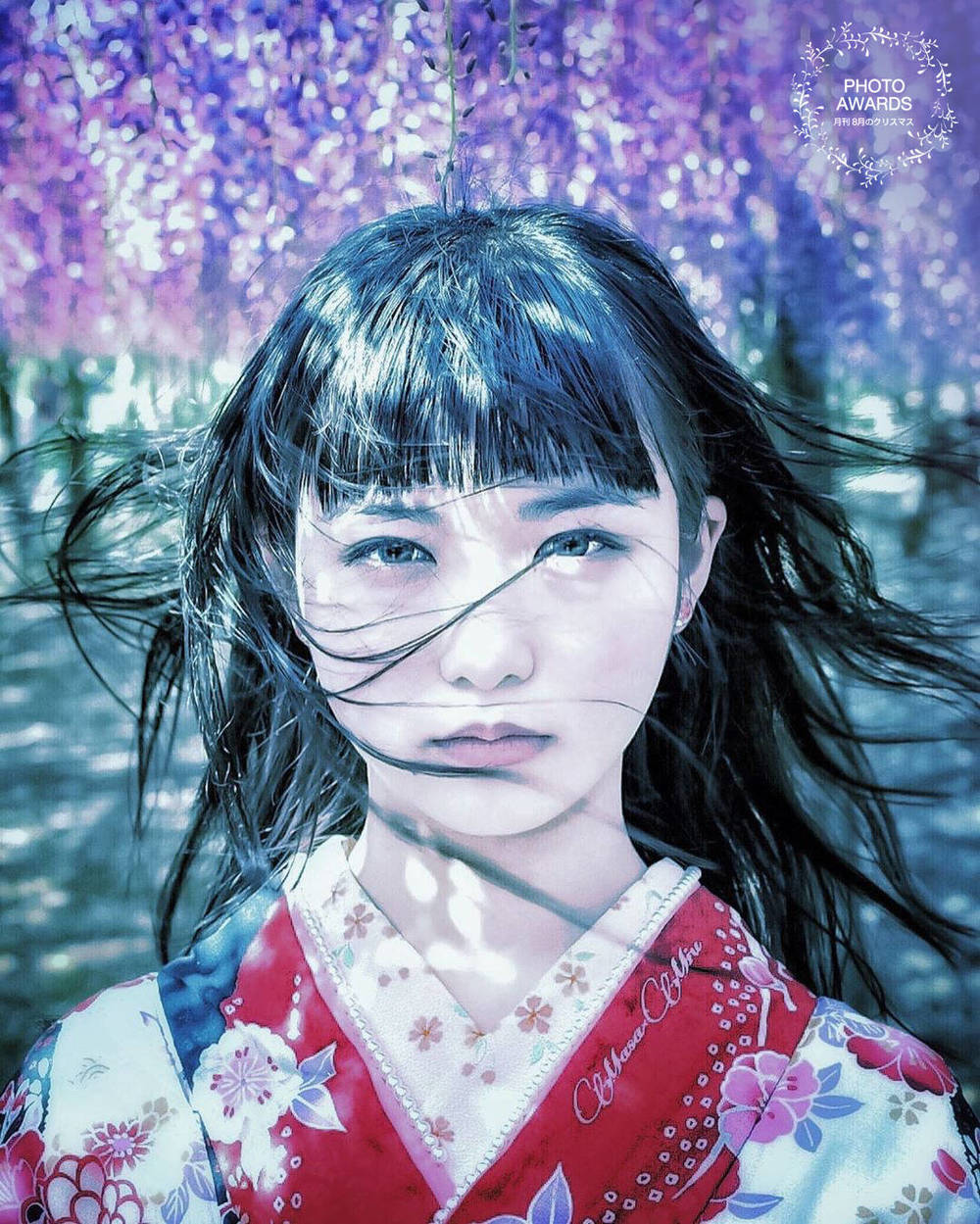ブログ写真
