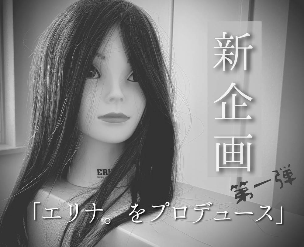 ブログ写真