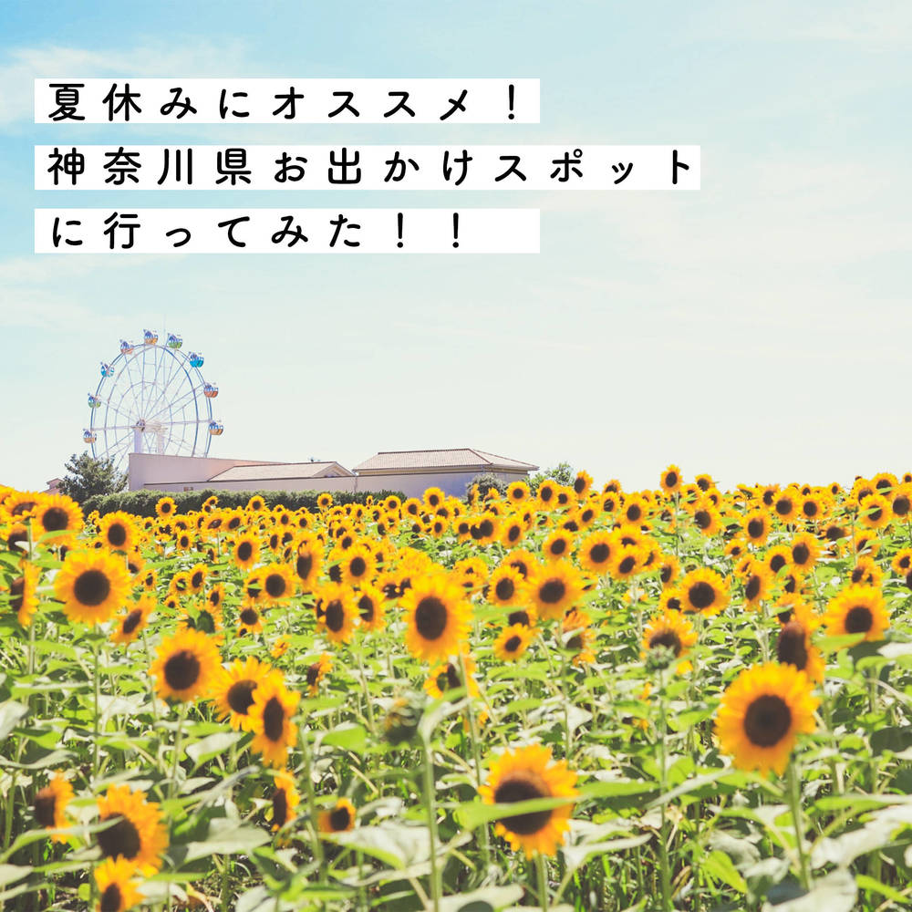 ブログ写真