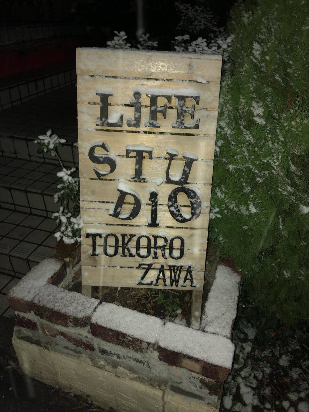 ブログ写真