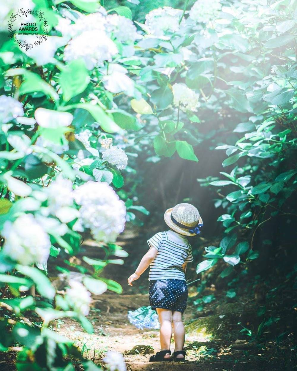 ブログ写真
