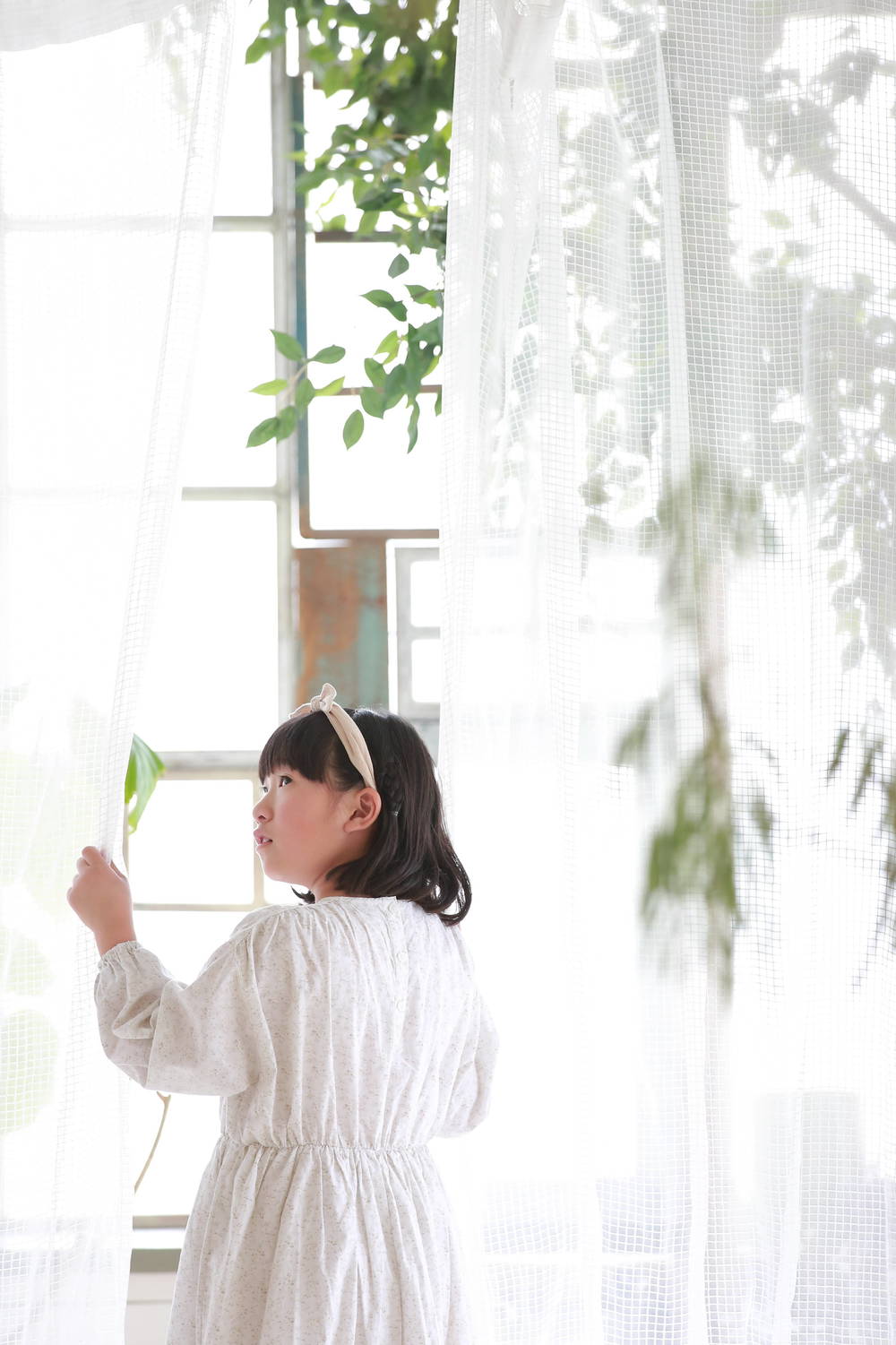 ブログ写真