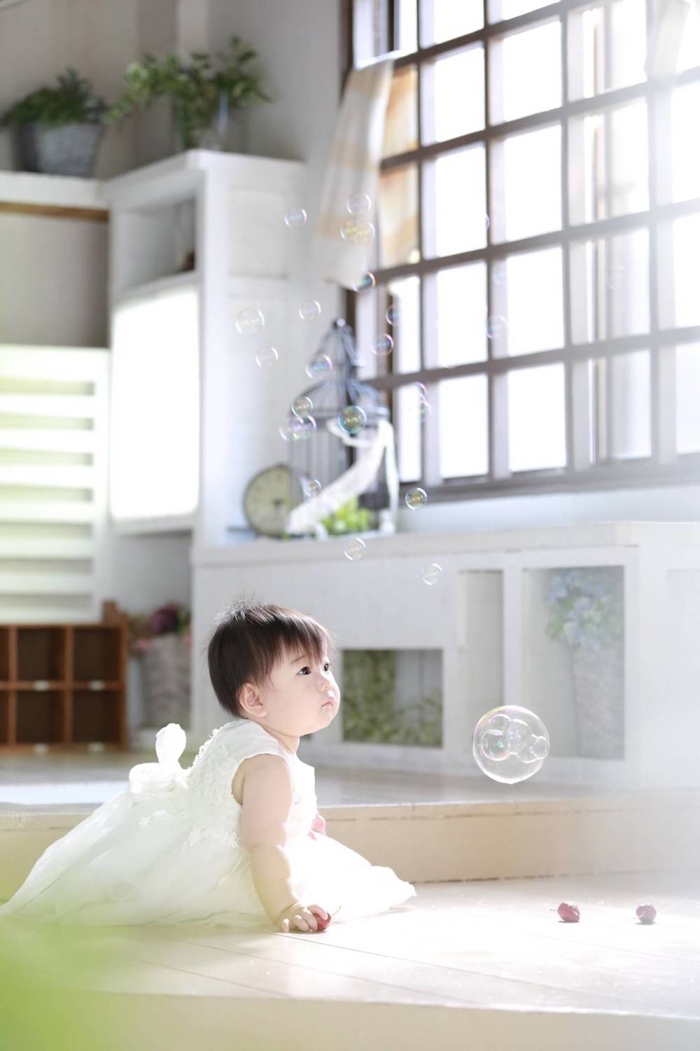 ブログ写真