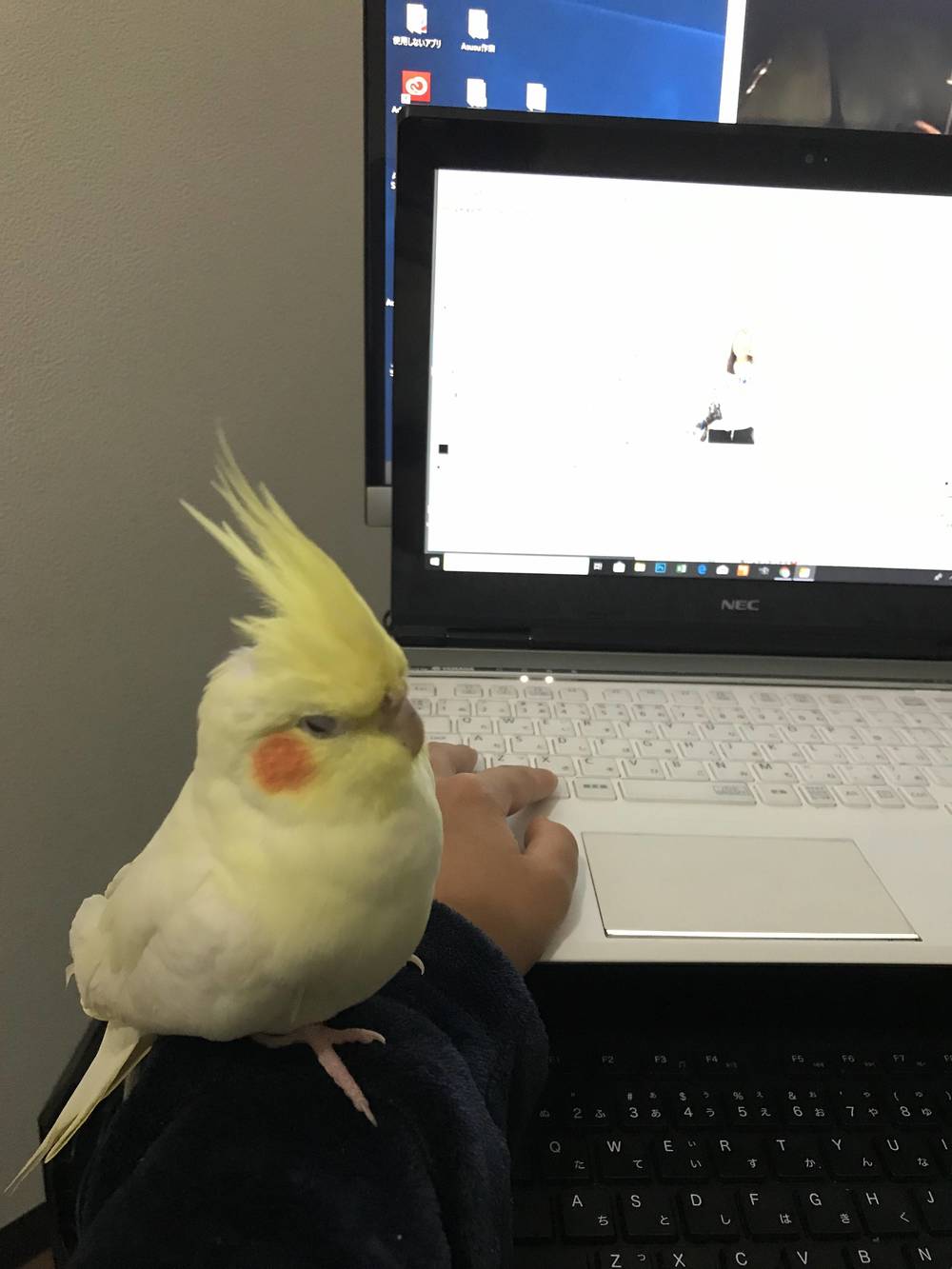 ブログ写真