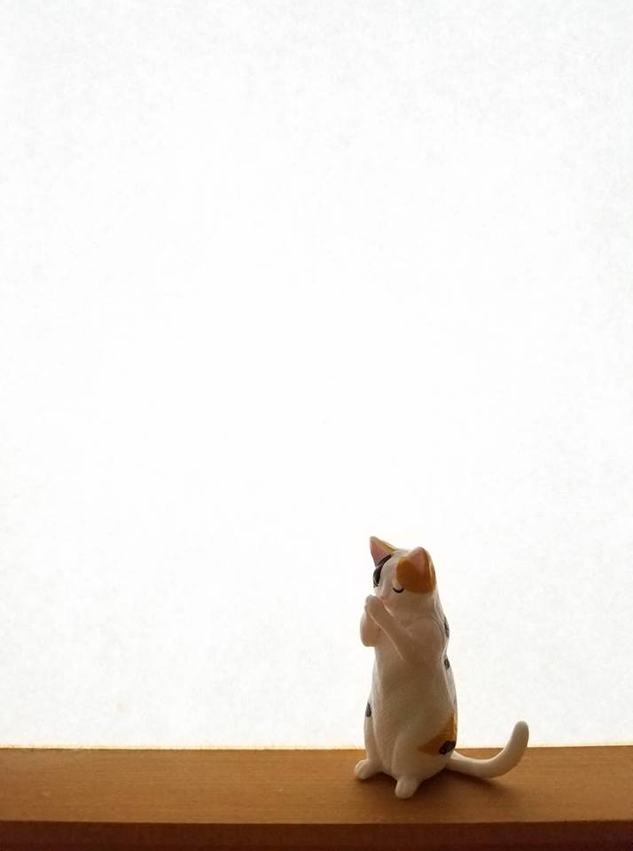 ブログ写真