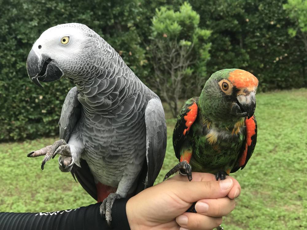 ブログ写真